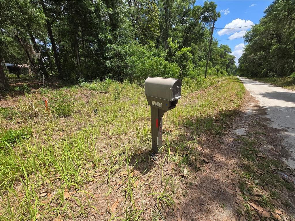 A mailbox stands on a dirt road beside a wooded, overgrown lot — 0 SW 15TH PLACE, OCALA, FL