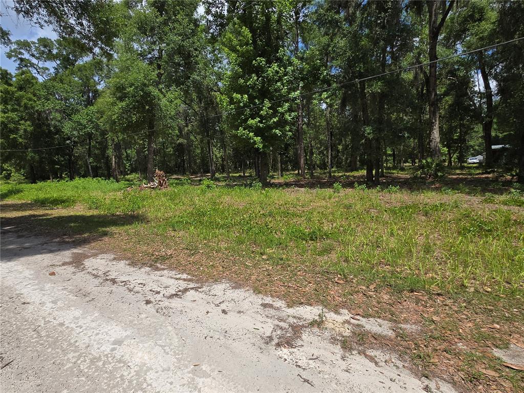 A dirt road leads to a grassy, wooded lot with tall trees and scattered brush — 0 SW 15TH PLACE, OCALA, FL