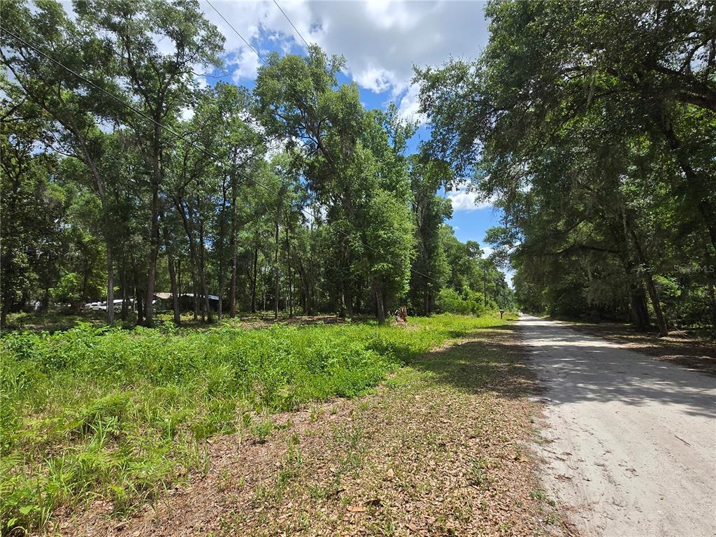 A dirt road runs alongside a wooded lot with dense green vegetation and tall trees — 0 SW 15TH PLACE, OCALA, FL