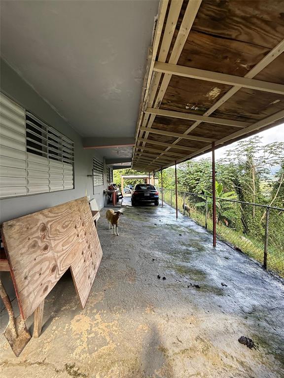 A covered concrete patio features a plywood partition, a parked car, and a small goat — Carr 925 KM 4.9 BO. JUNQUITO, HUMACAO, PR