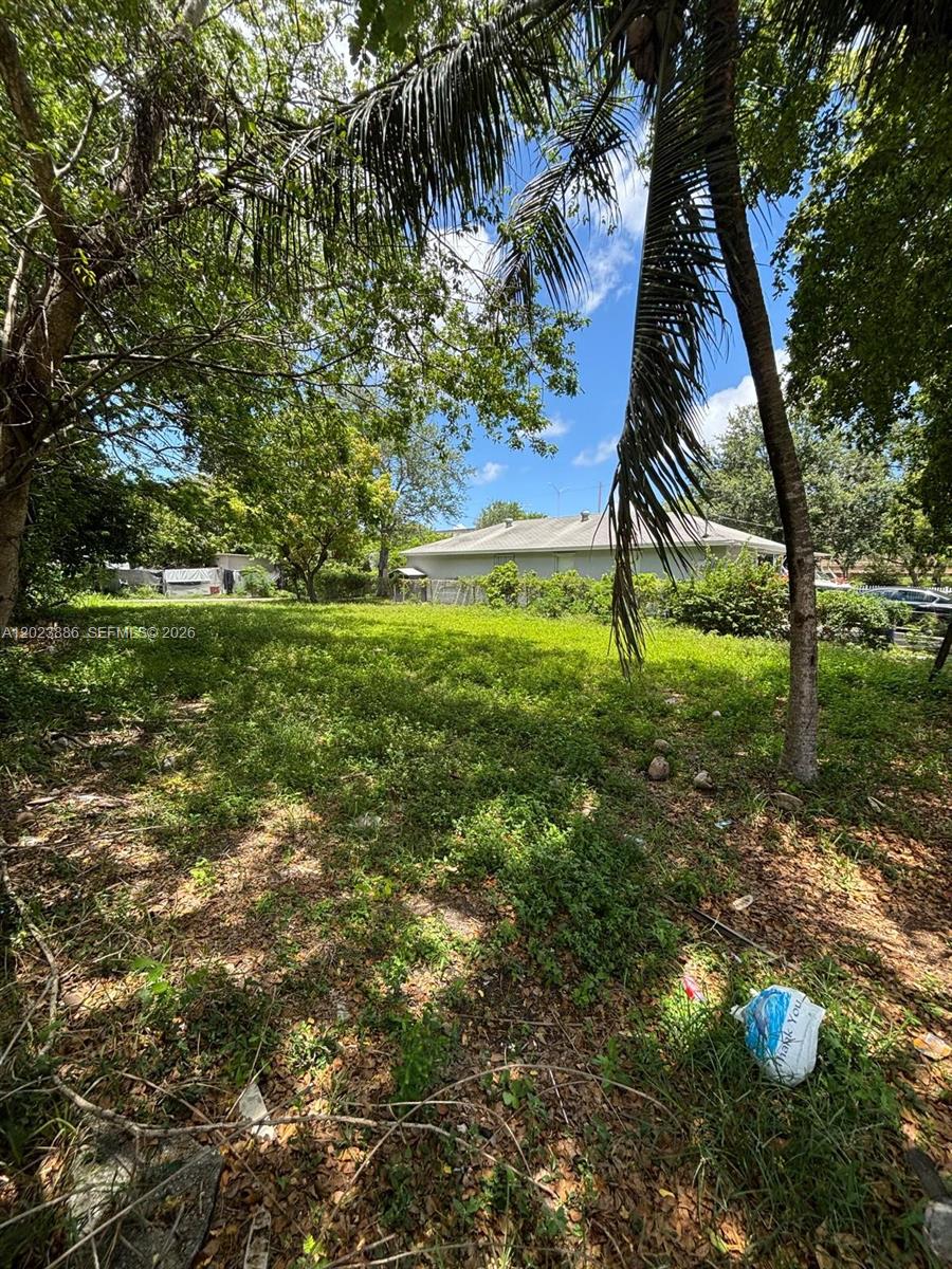 A grassy, overgrown vacant lot with trees and a house visible in the background — 665 NW 43rd St, Miami FL 33127, MIAMI, FL