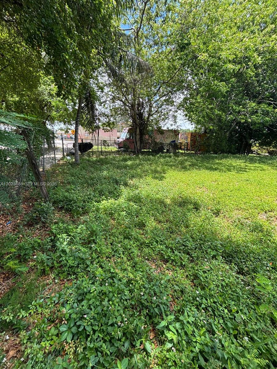 A grassy, overgrown lot is bordered by trees and a metal fence — 665 NW 43rd St, Miami FL 33127, MIAMI, FL