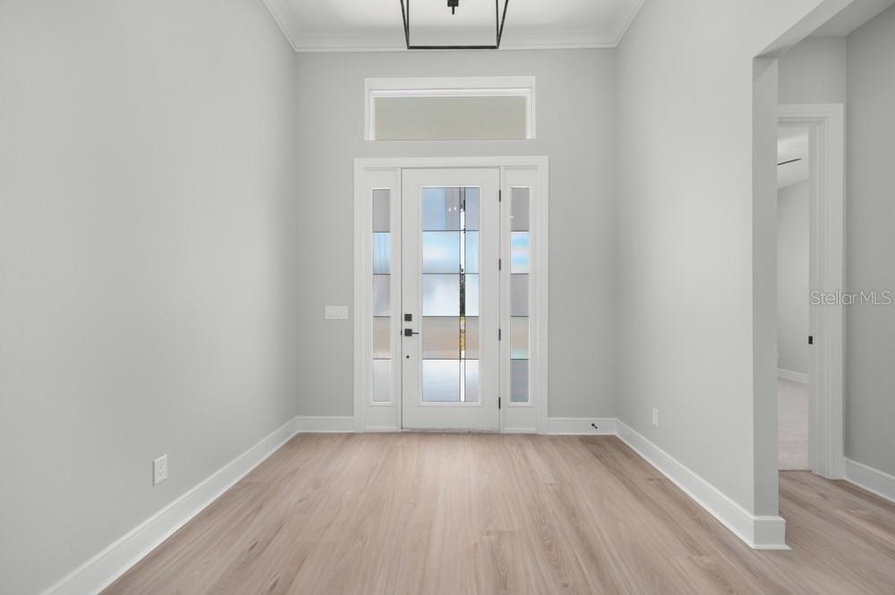 A bright entryway features light wood flooring, gray walls, and a white front door with glass — 3845 SADDLE HILL TRAIL, FRUITLAND PARK, FL