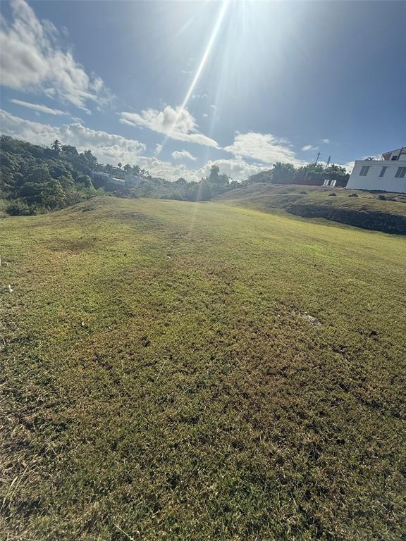 A wide, grassy, sloping lot under a bright sun with a white house nearby — COLINAS DE PALMARITO, ARECIBO, PR