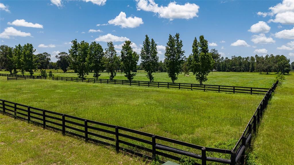 A fenced pasture features green grass and a row of trees under a blue sky — SE 159TH LN., SUMMERFIELD, FL