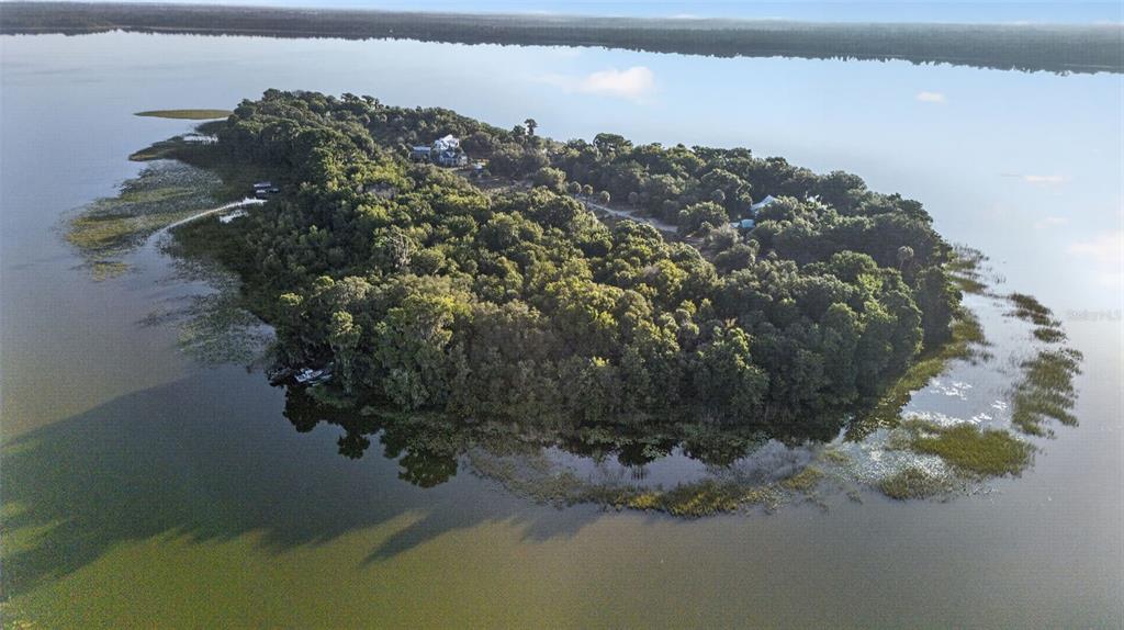 An aerial view of a forested island surrounded by a lake with two visible houses — 7950 BANNON FISH CAMP ROAD, HAINES CITY, FL