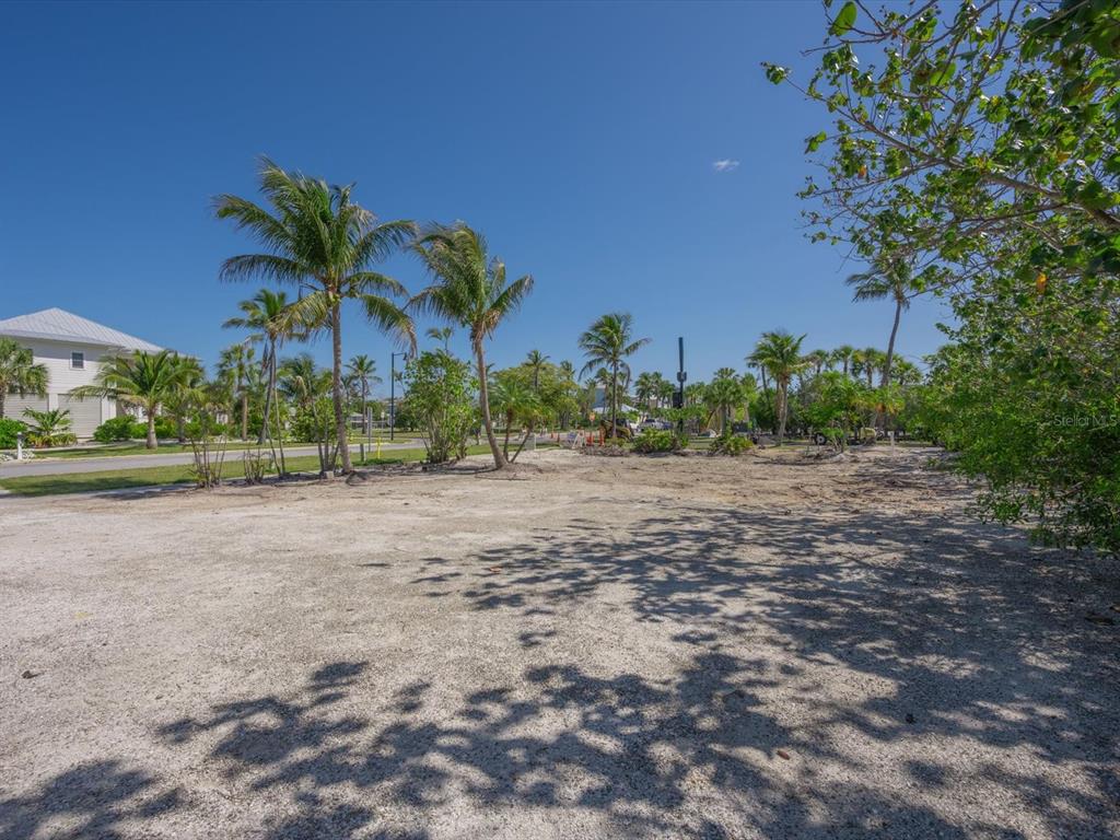 A vacant, sandy lot features several palm trees under a clear blue sky — 720 BROADWAY STREET, LONGBOAT KEY, FL