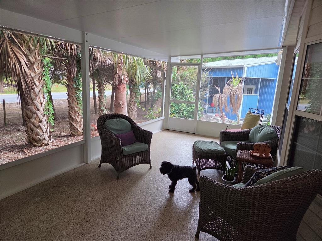 A screened-in porch features wicker furniture, a small dog, and views of palm trees — 421 MARGARET STREET, BRONSON, FL