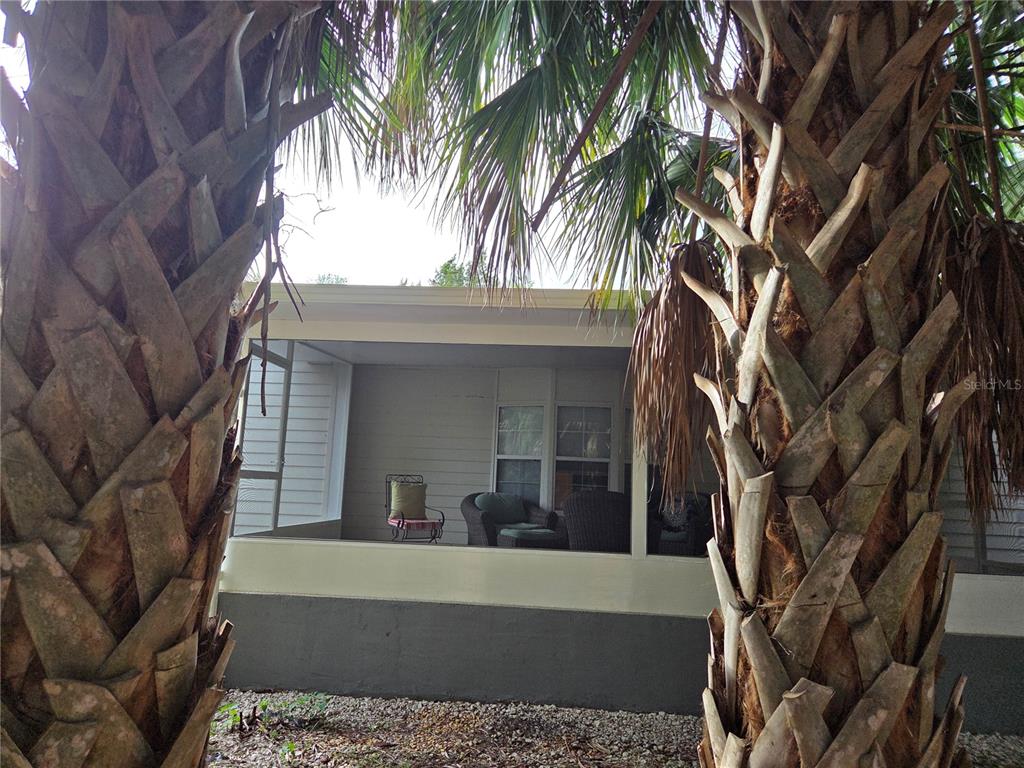 A screened-in porch with outdoor furniture is framed by two palm tree trunks — 421 MARGARET STREET, BRONSON, FL
