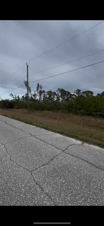 A paved road runs alongside a vacant, overgrown lot with a utility pole under cloudy skies — 9517 SUNDANCE STREET, PORT CHARLOTTE, FL