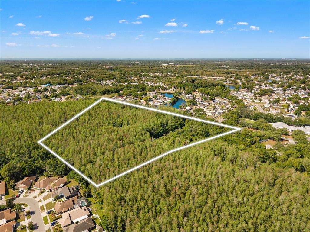 An aerial view shows a wooded plot of land outlined in white near a residential neighborhood — 12591 HENDERSON ROAD, TAMPA, FL