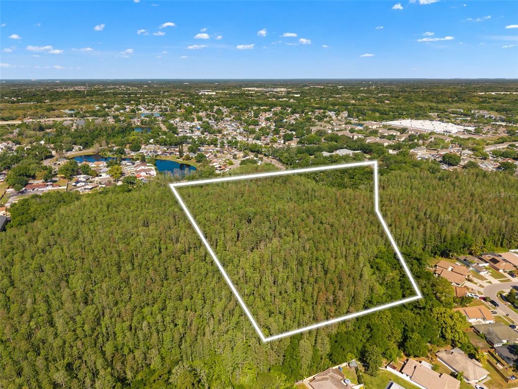 An aerial view shows a large, wooded plot of land outlined in white — 12591 HENDERSON ROAD, TAMPA, FL
