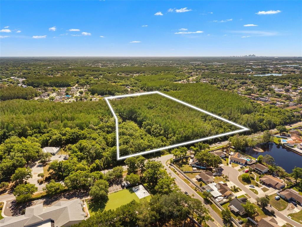 An aerial view shows a wooded, rectangular plot of land outlined in white — 12591 HENDERSON ROAD, TAMPA, FL