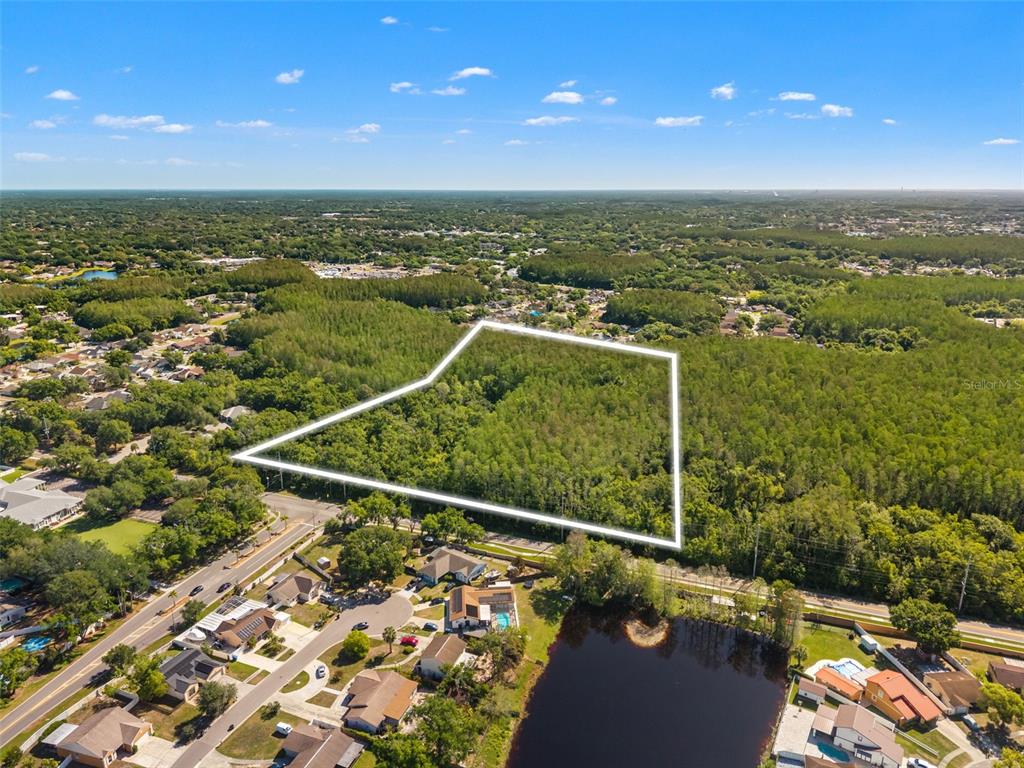 An aerial view shows a large, wooded plot of land outlined in white near residential houses — 12591 HENDERSON ROAD, TAMPA, FL
