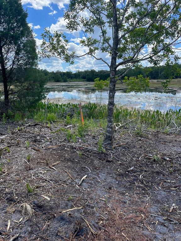 7123 GLENCHESTER DRIVE, WEBSTER, FL — photo 4 of 13
