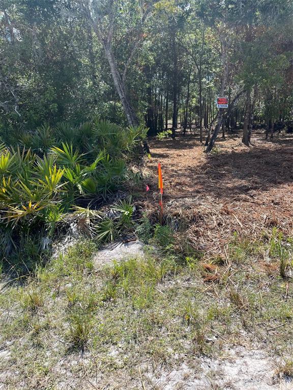 7123 GLENCHESTER DRIVE, WEBSTER, FL — photo 5 of 13