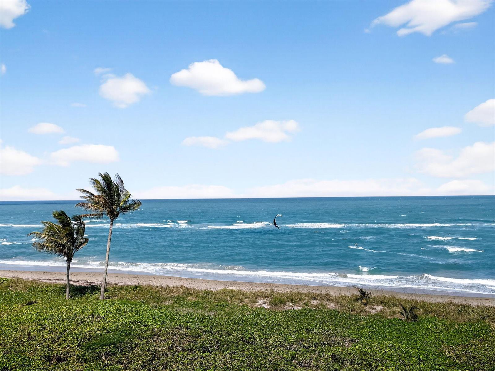 A view of a sandy beach with two palm trees and a kite surfer offshore — 2920 SE Dune Drive # 420, Stuart FL 34996, STUART, FL