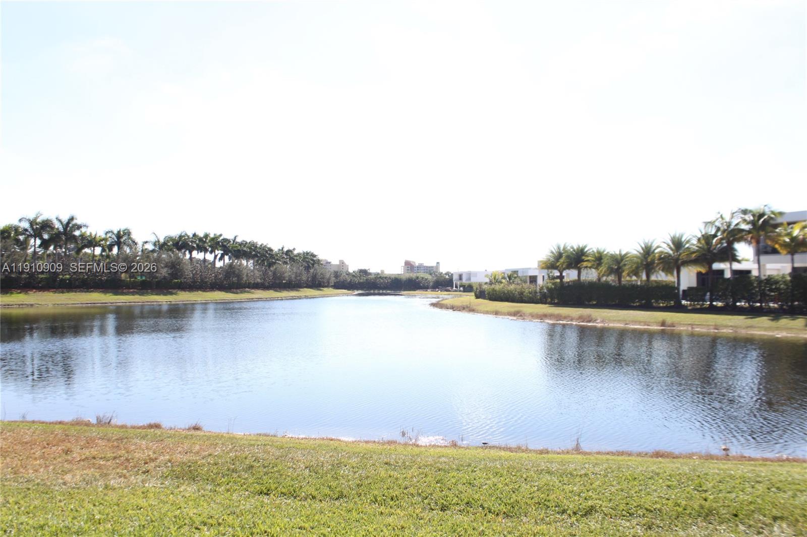 A calm lake is surrounded by manicured grass and rows of palm trees — 180 Riviera Cir # 5, Weston FL 33326, WESTON, FL