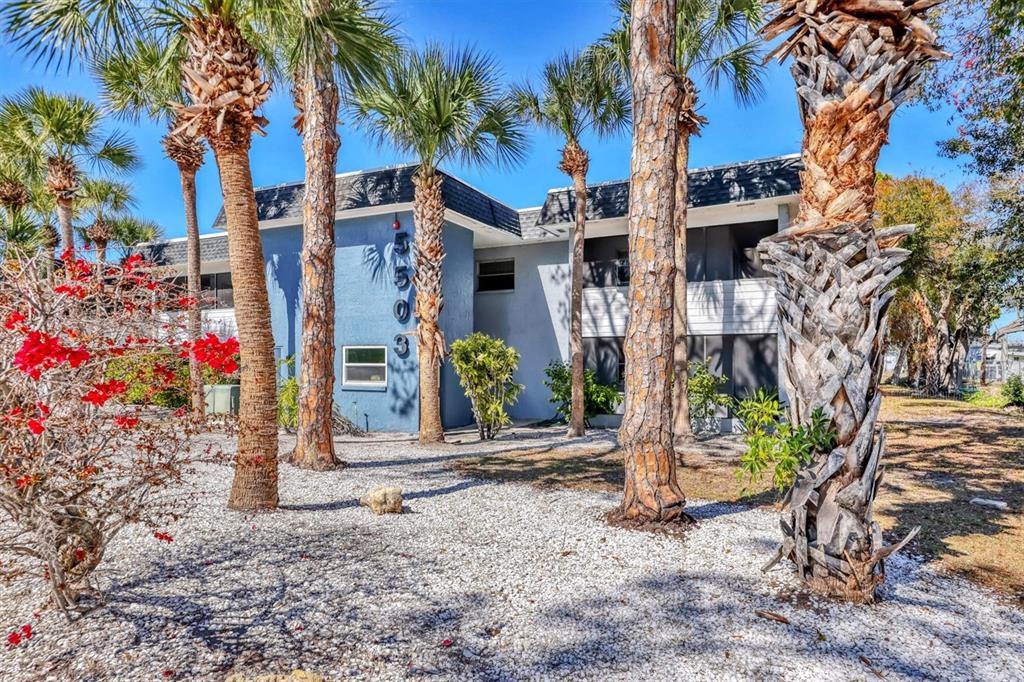 A blue two-story apartment building exterior features palm trees and a white gravel yard — 5503 FOUNTAIN LAKE CIRCLE UNIT A204, BRADENTON, FL