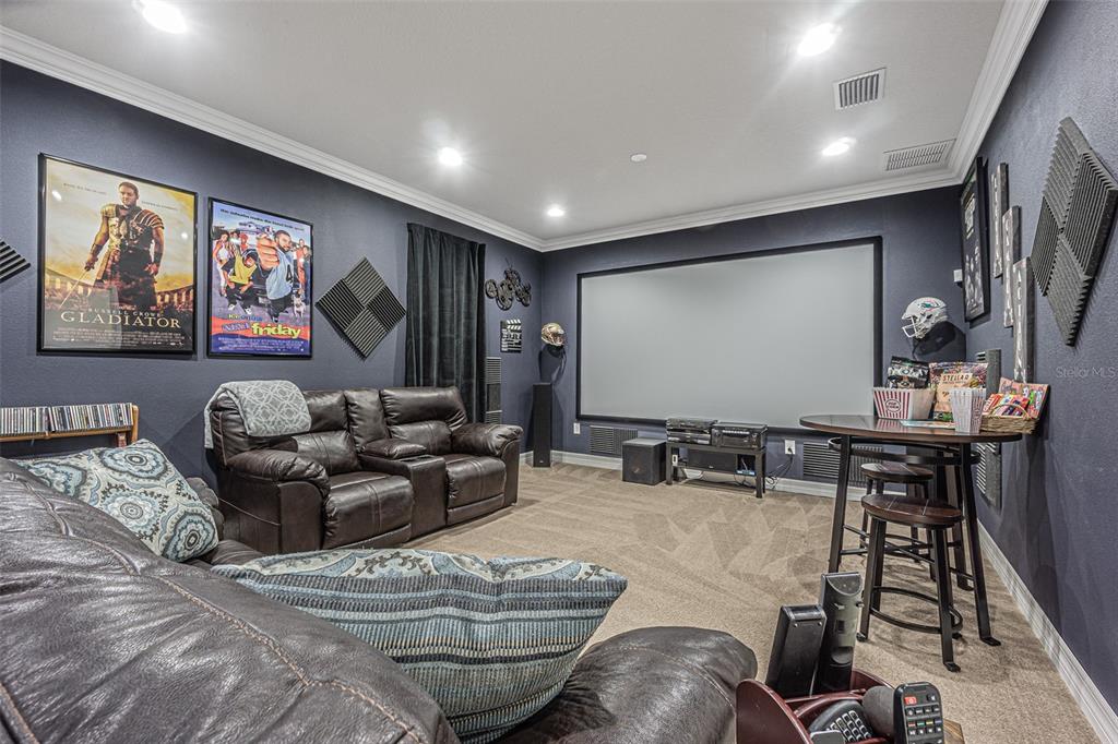 A home theater room features a large projection screen, dark walls, and leather seating — 1507 WINDY GAP PLACE, VALRICO, FL