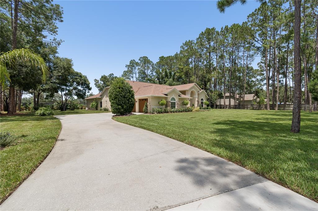 A concrete driveway leads through an open metal gate toward a single-story suburban house — 18811 VICTOR MANUEL DRIVE, LUTZ, FL