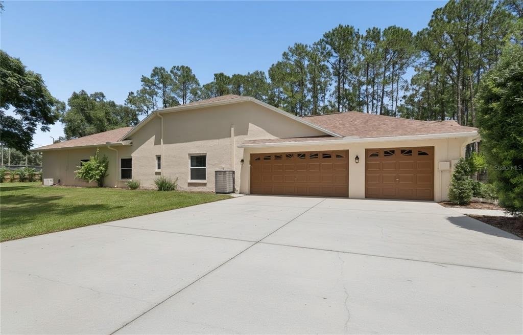 A single-story house with a concrete driveway and a large lawn surrounded by pine trees — 18811 VICTOR MANUEL DRIVE, LUTZ, FL