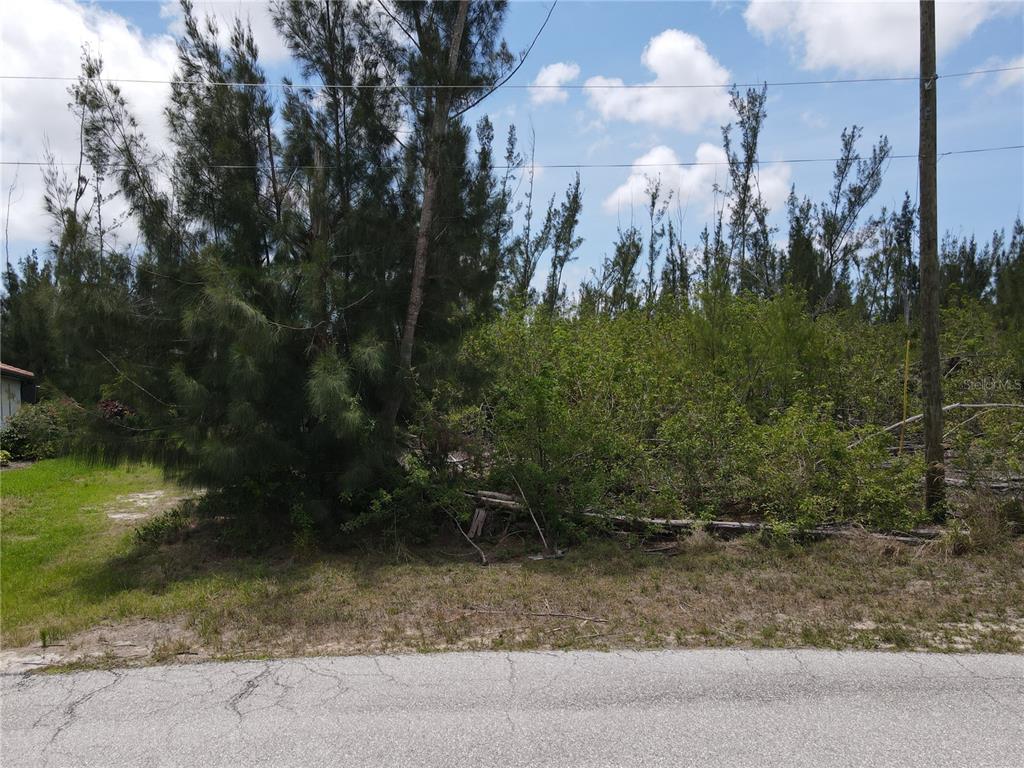 A vacant, wooded lot is bordered by a paved road and a utility pole — 10662 KEARSARGE CIRCLE, PORT CHARLOTTE, FL
