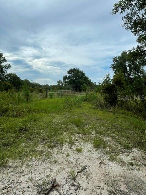 A metal gate stands at the end of a sandy path surrounded by grassy fields — 2075 COUNTRY ROAD 75, BUNNELL, FL