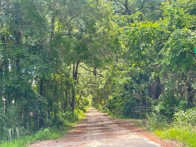 A dirt road winds through a dense, tree-lined forest with a yellow sign in the distance — 2075 COUNTRY ROAD 75, BUNNELL, FL