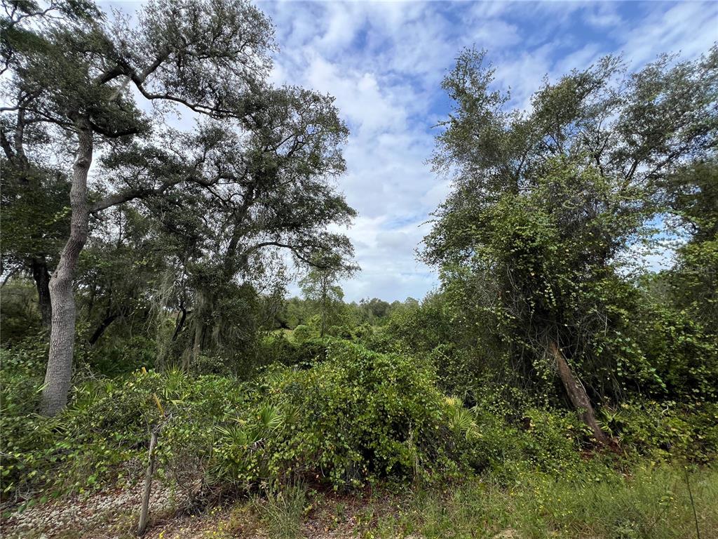 tbd DANE LANE, MELROSE, FL — photo 2 of 13