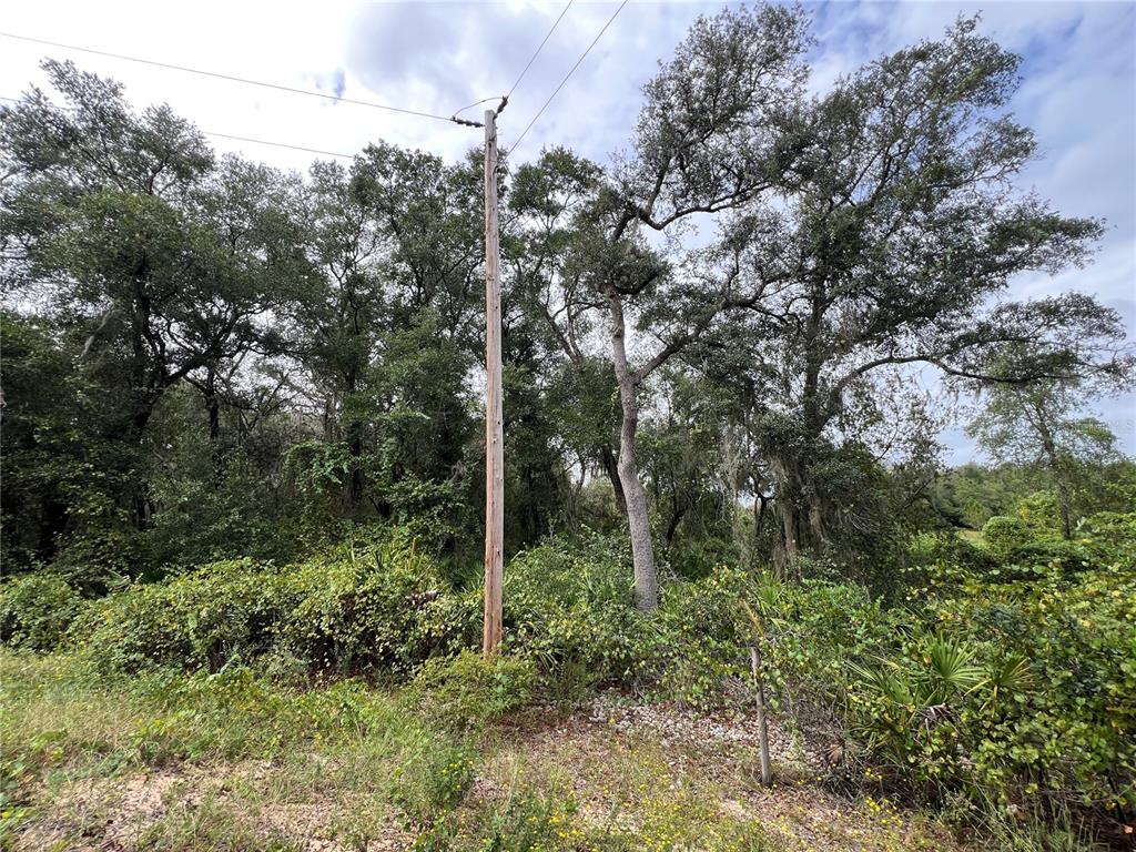 tbd DANE LANE, MELROSE, FL — photo 3 of 13