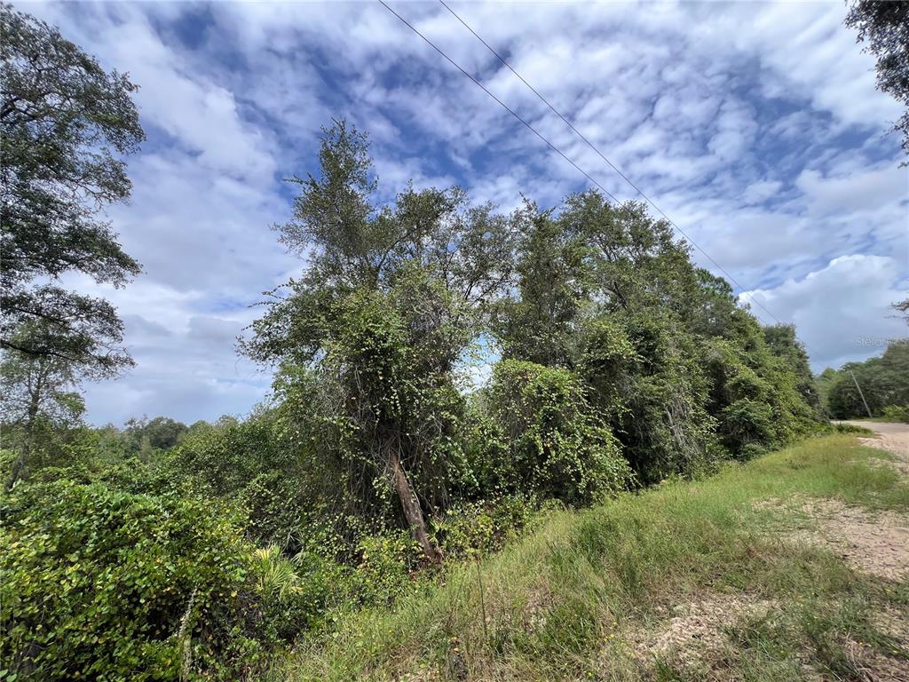 tbd DANE LANE, MELROSE, FL — photo 4 of 13
