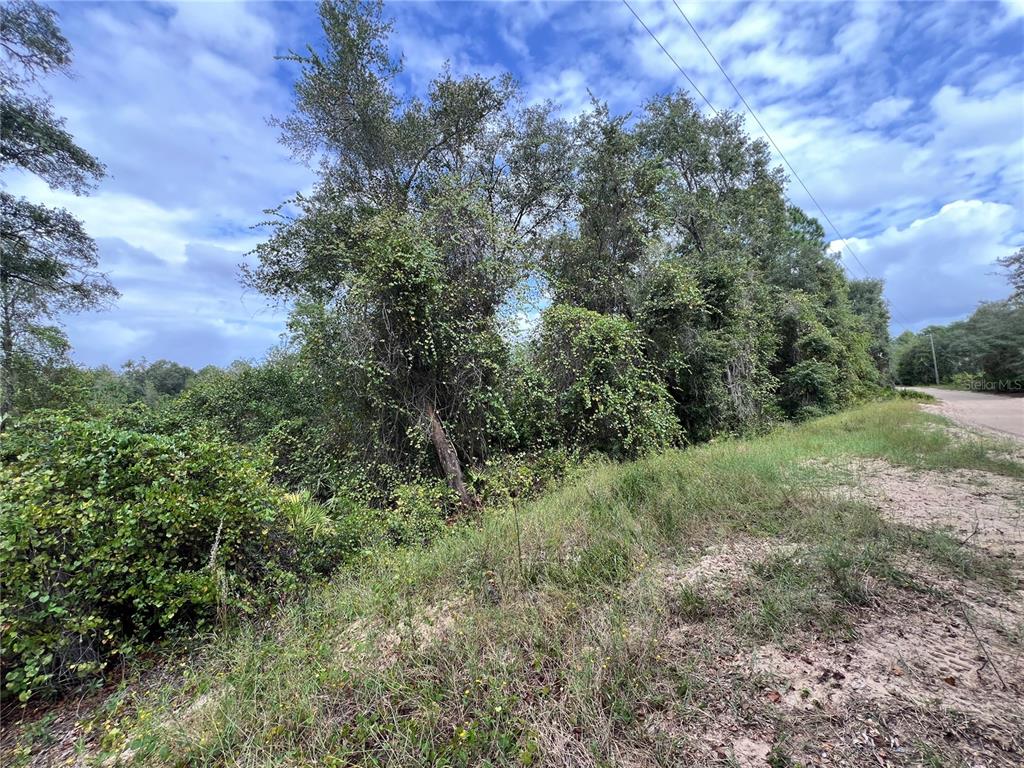 tbd DANE LANE, MELROSE, FL — photo 5 of 13