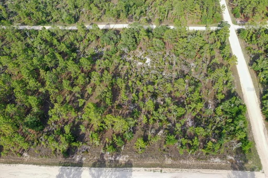 An aerial view shows a wooded, undeveloped rectangular lot bordered by dirt roads — 0000 NE 131 TERRACE LOT 6 TERRACE, WILLISTON, FL