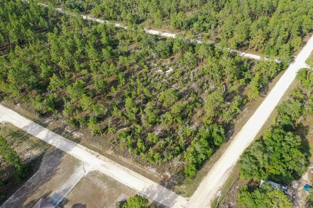 An aerial view shows a vacant, wooded corner lot bordered by two dirt roads — 0000 NE 131 TERRACE LOT 6 TERRACE, WILLISTON, FL