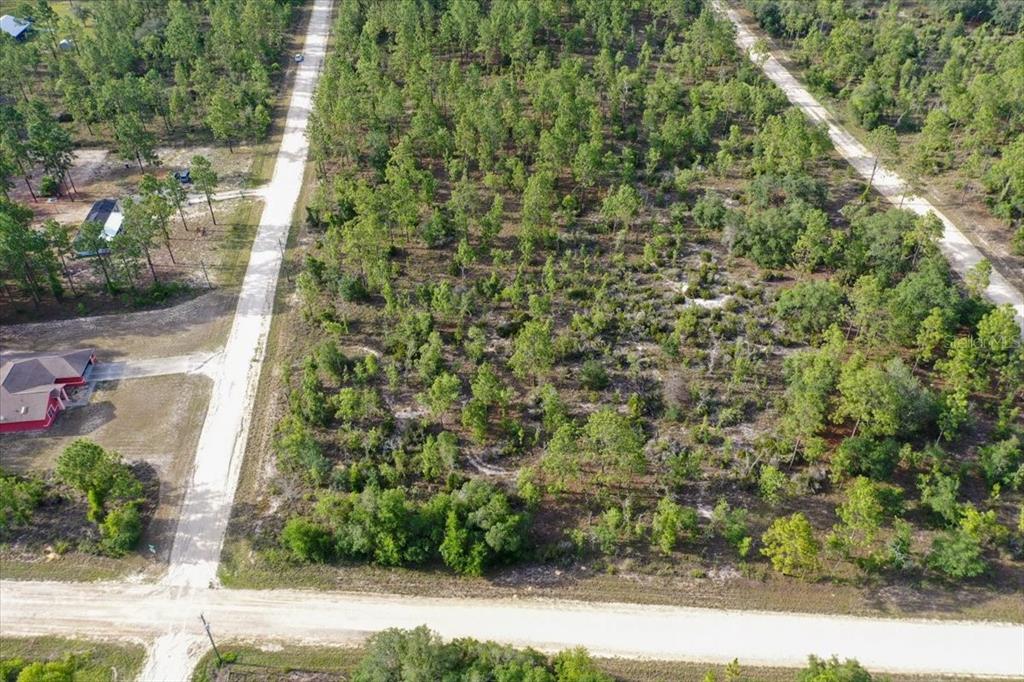 An aerial view shows a vacant, wooded lot bordered by dirt roads and nearby houses — 0000 NE 131 TERRACE LOT 6 TERRACE, WILLISTON, FL