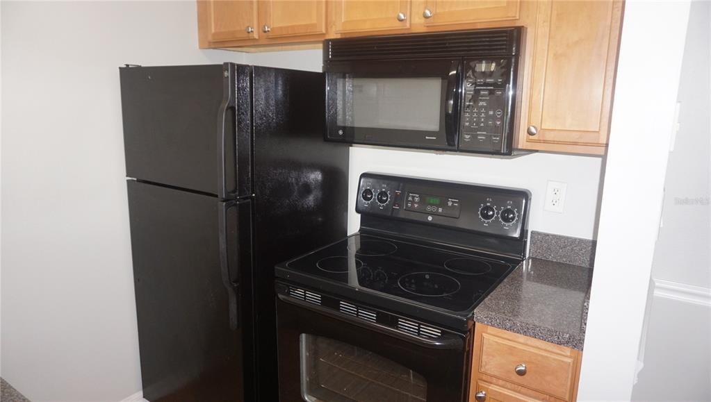 A kitchen features black appliances, light wood cabinets, and dark speckled countertops — 220 LAKE PARSONS GREEN UNIT 206, BRANDON, FL