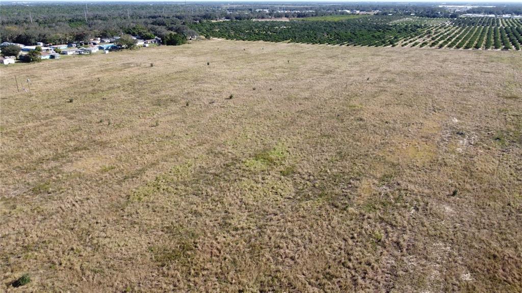 An aerial view shows a large, flat, grassy field adjacent to a residential area and orchard — 1615 EO DOUGLAS AVENUE, SEBRING, FL