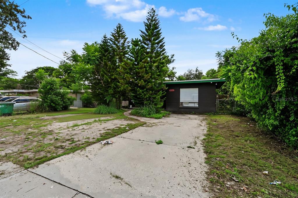 A single-story house with a dark exterior and a concrete driveway sits behind tall trees — 1803 E BOUGAINVILLEA AVENUE, TAMPA, FL
