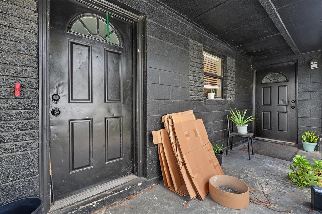 A porch with two black doors, a stack of cardboard, and potted plants — 1803 E BOUGAINVILLEA AVENUE, TAMPA, FL