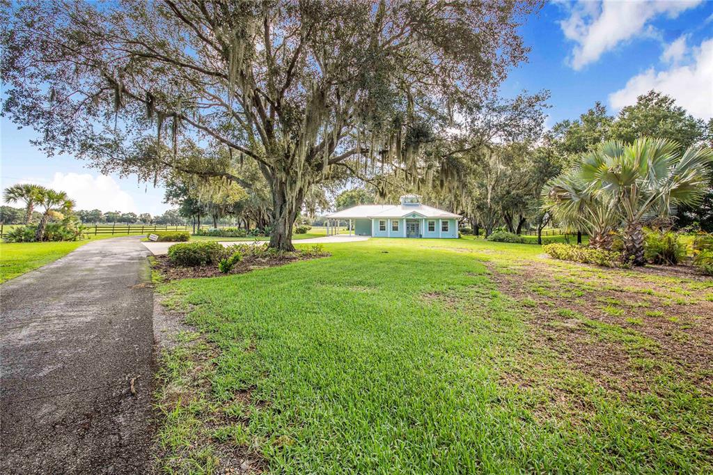 A paved driveway leads toward a light blue house shaded by a large oak tree — 2424 BURNS AVENUE, LAKE WALES, FL