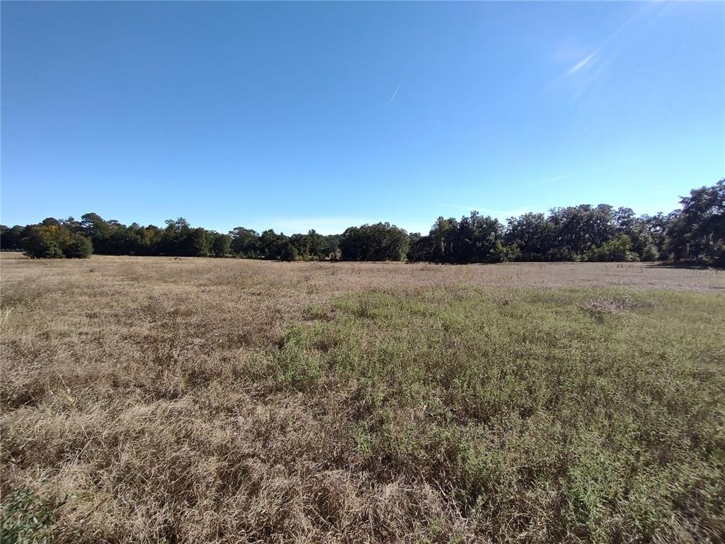 A wide, grassy field stretches toward a line of trees under a clear blue sky — NW 54TH LOOP LOT 6, OCALA, FL