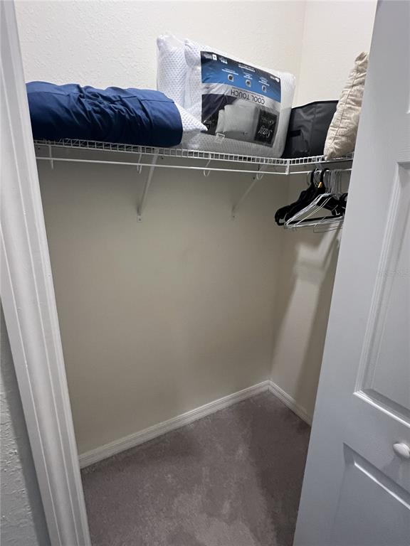 A small walk-in closet features a wire shelf, carpeted flooring, and a few stored items — 5674 PALMER CIRCLE UNIT 203, BRADENTON, FL