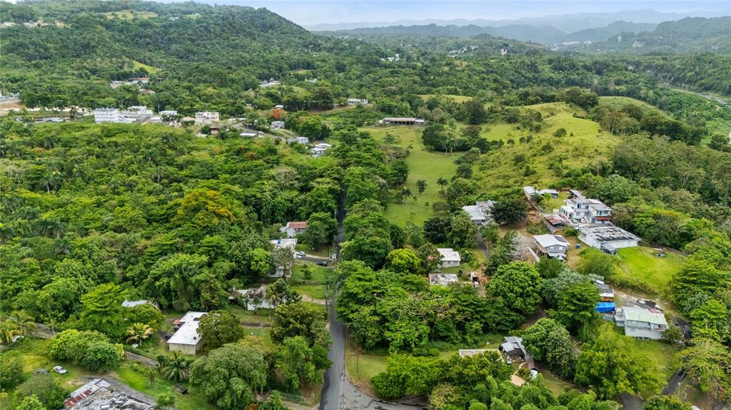 An aerial view shows houses scattered among dense green trees and rolling hills — 6685 ESTATAL ROAD, MANATI, PR