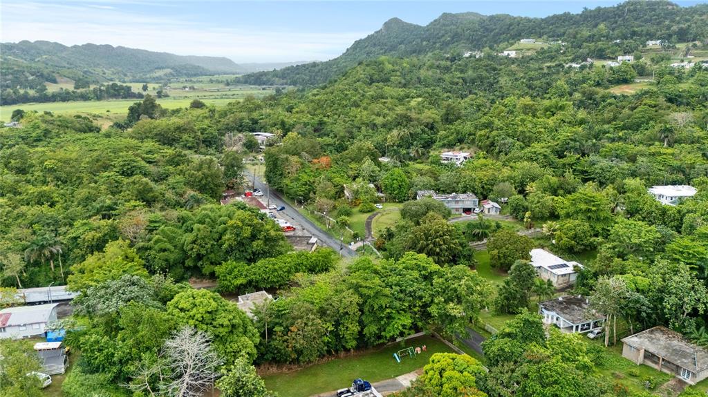 An aerial view shows houses scattered among dense green trees and hills in a valley — 6685 ESTATAL ROAD, MANATI, PR