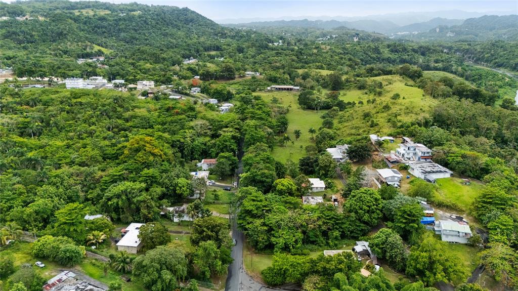 An aerial view shows a rural neighborhood with scattered houses surrounded by dense green vegetation — 6685 ESTATAL ROAD, MANATI, PR