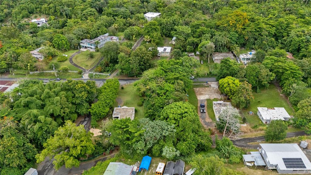 An aerial view shows several houses scattered among dense trees and lush vegetation — 6685 ESTATAL ROAD, MANATI, PR