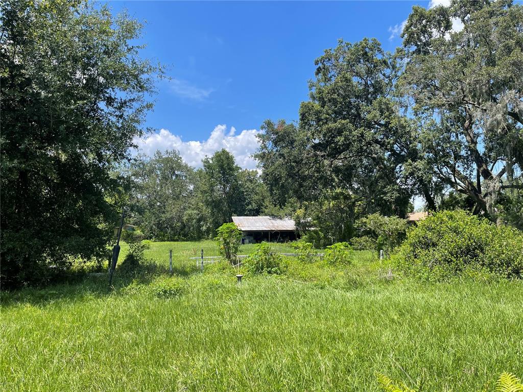 An old shed sits in a grassy, tree-lined field under a bright blue sky — 809 W PIPKIN ROAD, LAKELAND, FL