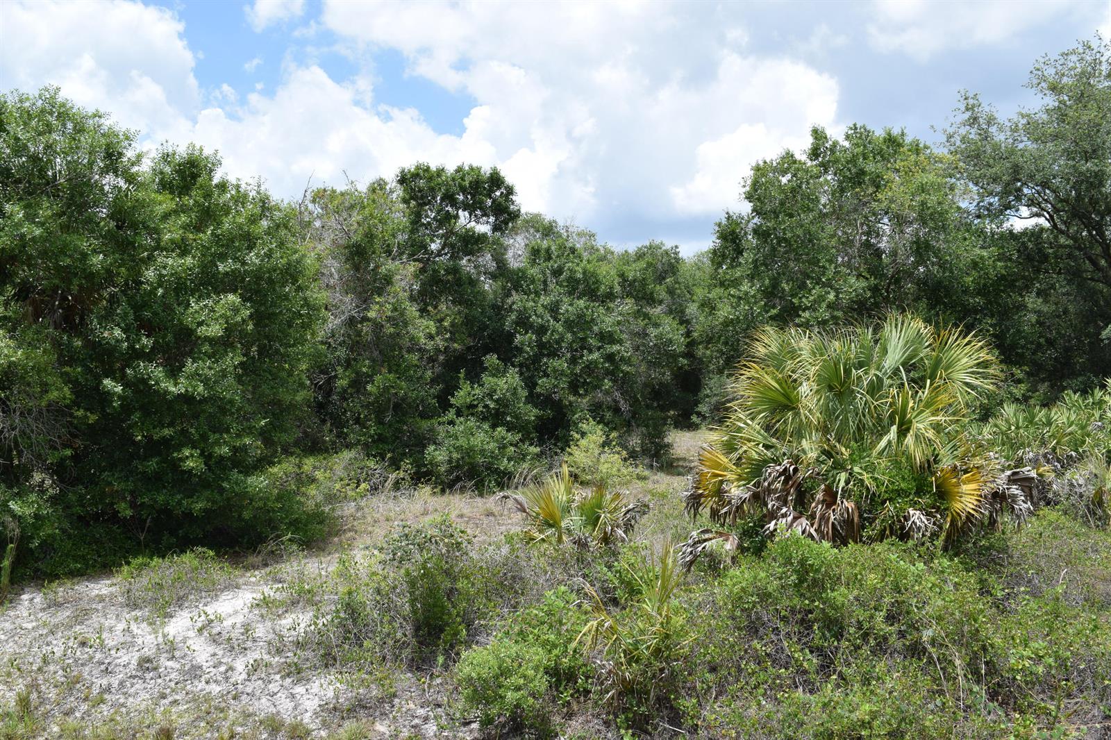 17119 NW 276th Street, Okeechobee FL 34972