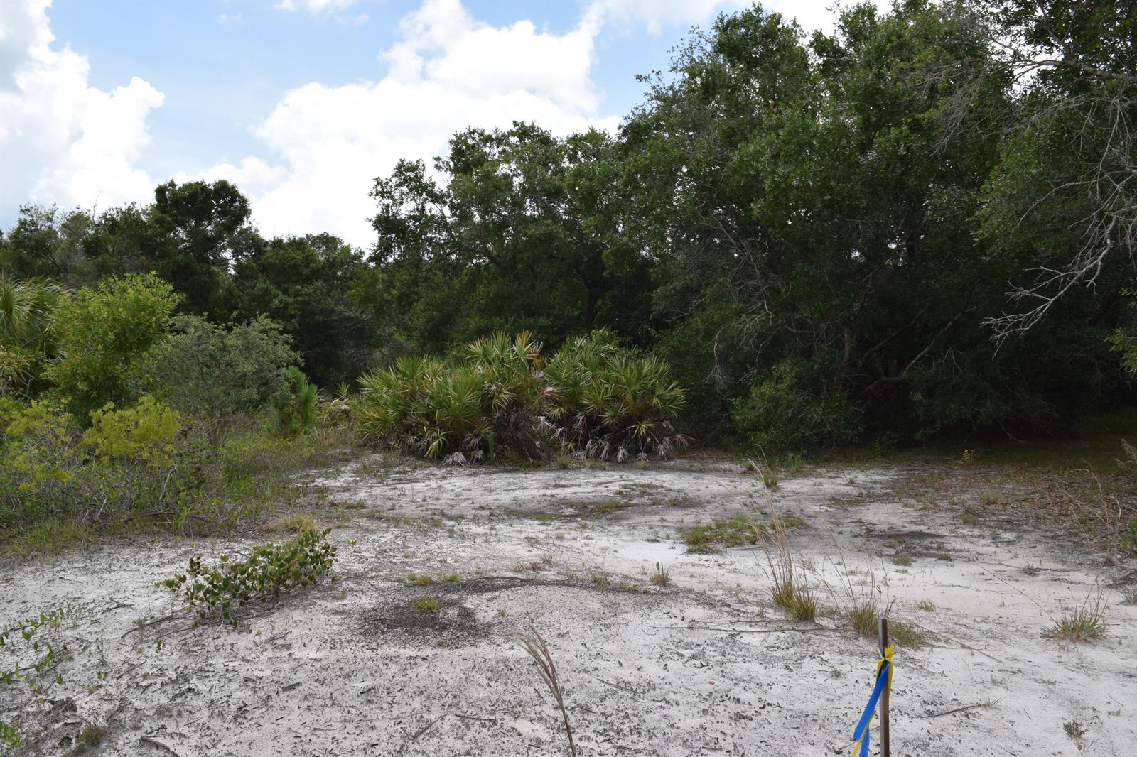 A sandy, undeveloped lot features scattered shrubs, palmettos, and a dense treeline in the background — 17119 NW 276th Street, Okeechobee FL 34972, OKEECHOBEE, FL